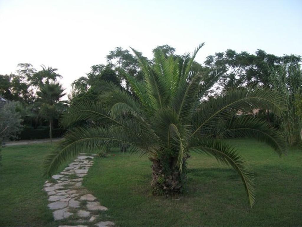 Zena Resort Hotel Kemer Exterior photo